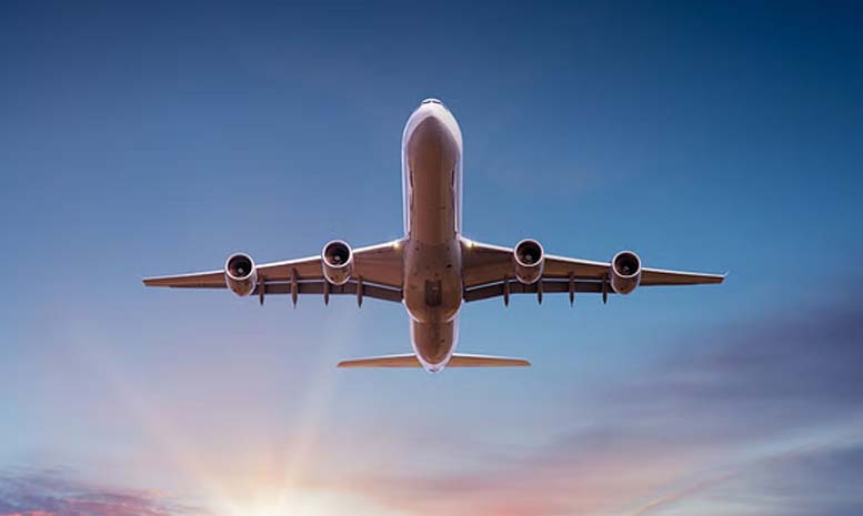 Flight