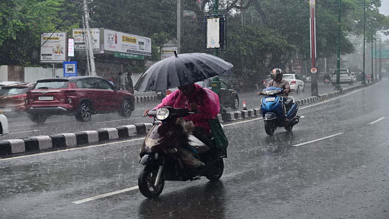 Rain