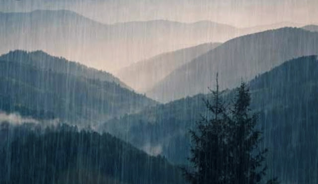 Rain