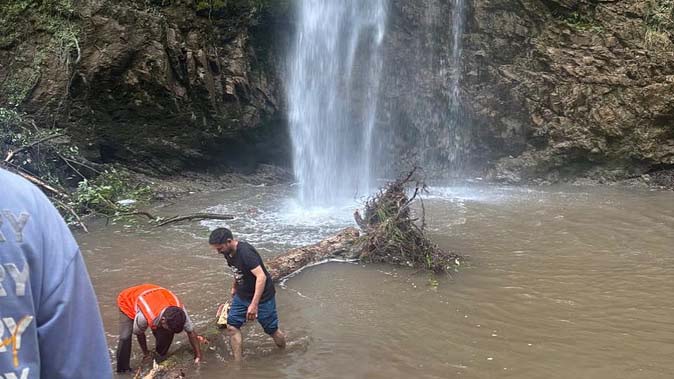 Tiger Fall